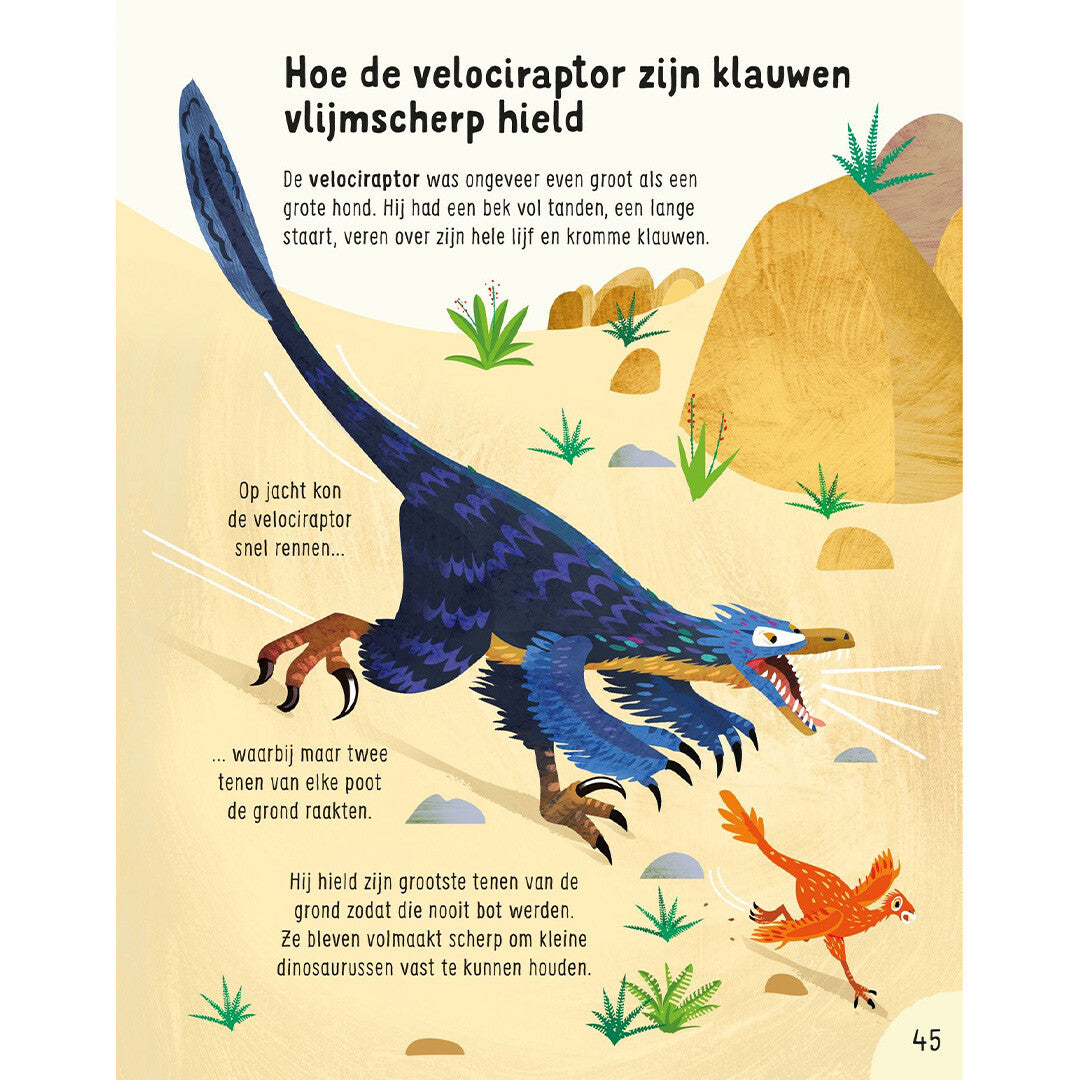 Usborne wist je dit al over dinosaurussen?