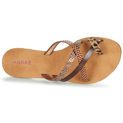 André - RYE Marrón