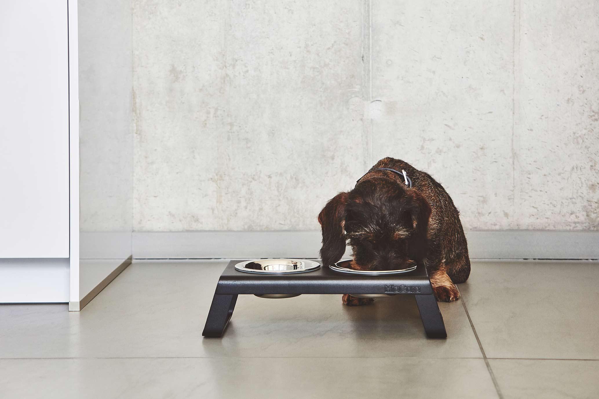 Desco hondenvoerbak small walnoot
