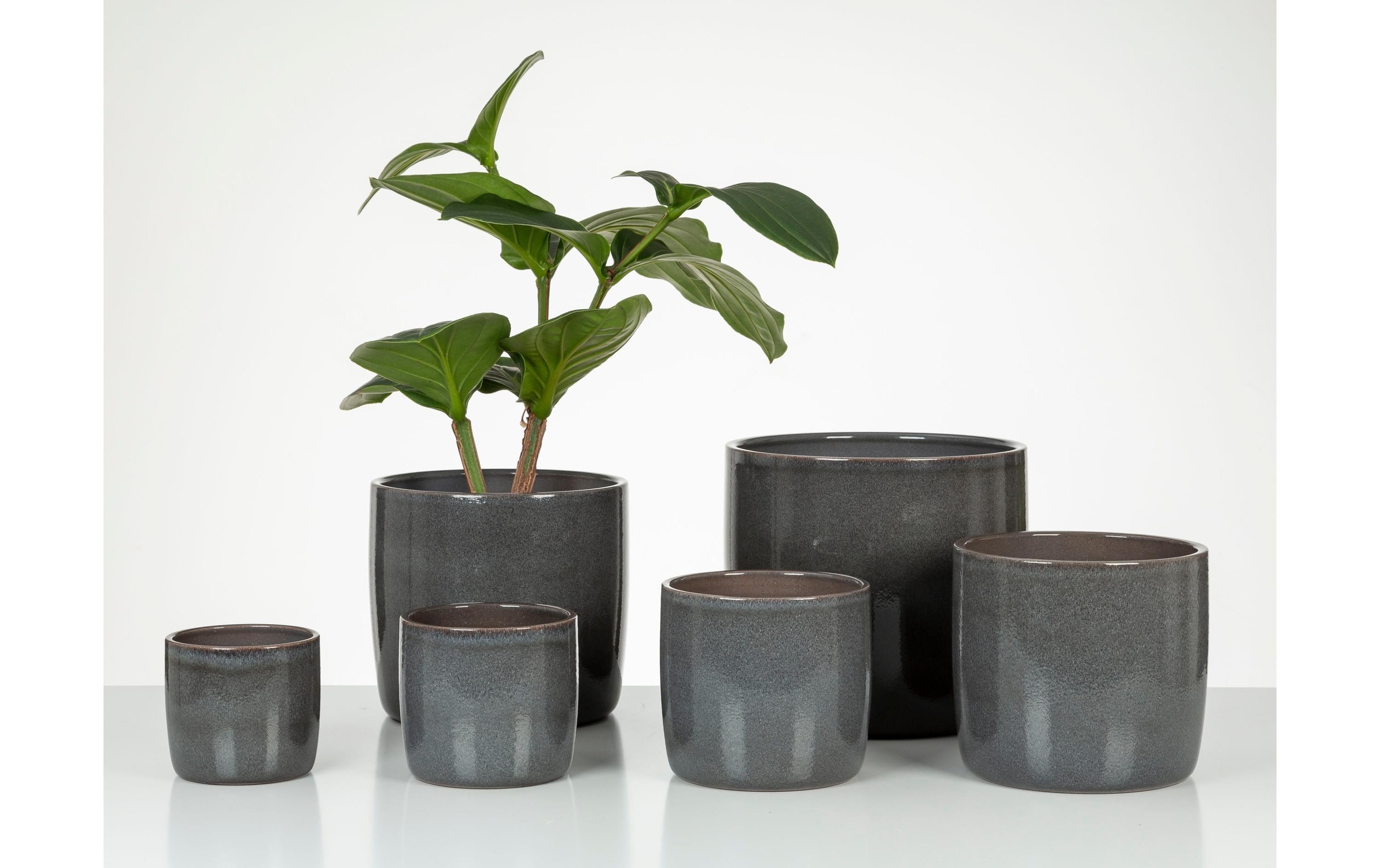 Scheurich Blumentopf »Solido 28 cm«