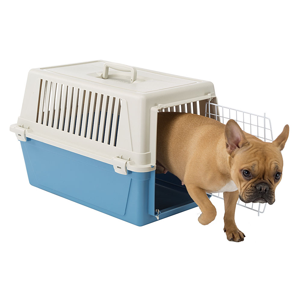 Ferplast transport rigide pour chats et chiens de petite taille atlas 30 el, box pour transport pour animaux, plastique robuste,