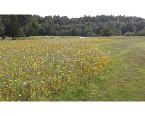 Kiepenkerl Carnival Mix wilde bloemenzaden 1 kg 200 m²