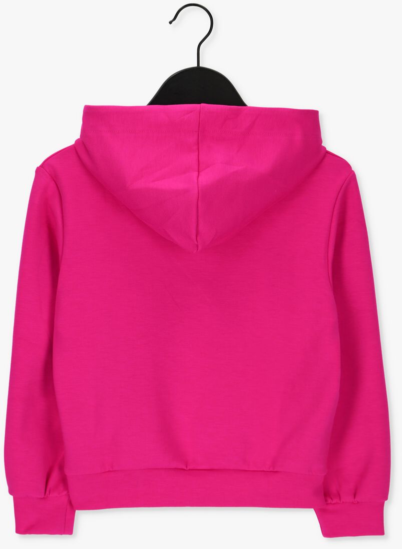TOMMY HILFIGER roze tommy hilfiger trui tommy foil graphic hoodie
