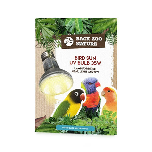 Back Zoo Nature Bird Sun UV-Lamp