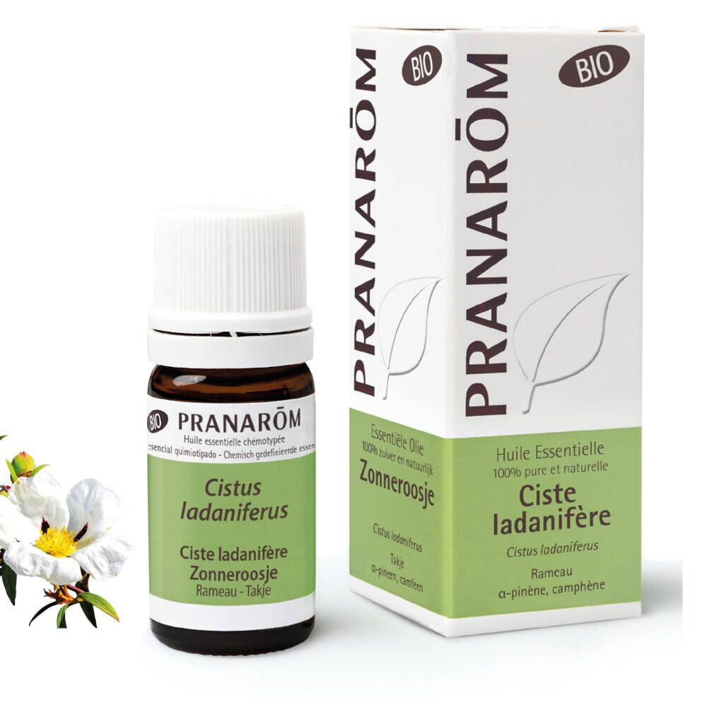 PRANAROM Zistrose