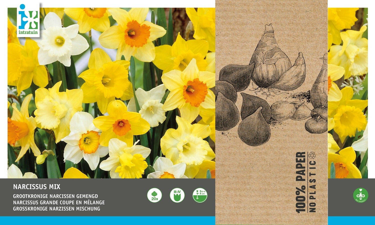 Intratuin bloembollen grootkronige Narcis (Narcissus) geel, wit 20 stuks