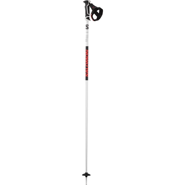 X10 ERGO S3  Alpinstöcke Unisex
