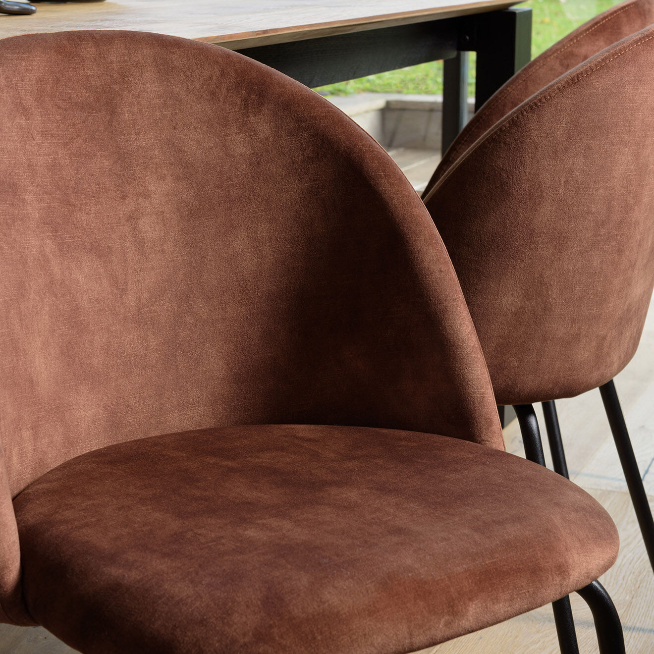 Macabane 2 Chaises en Velours Tom dossier arrondi acajou - 50x55x79 cm