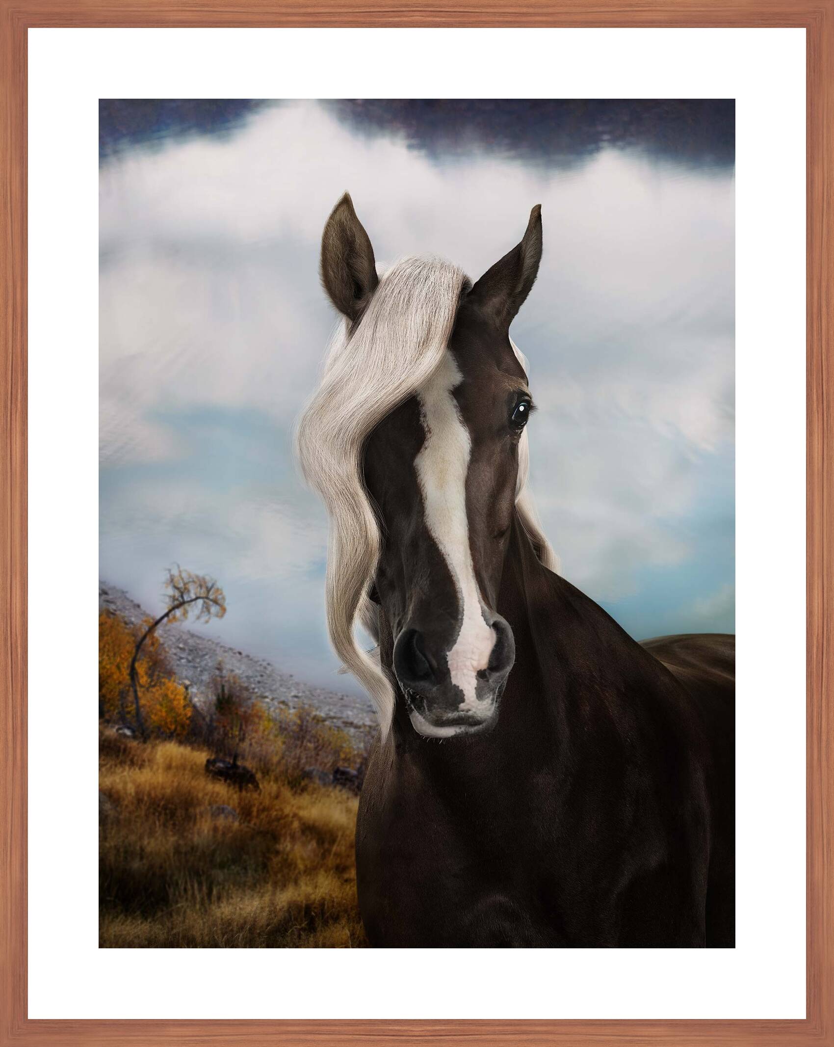 Lanake by Julian Wolkenstein - Limited Edition. Edition of: 150. Signed.