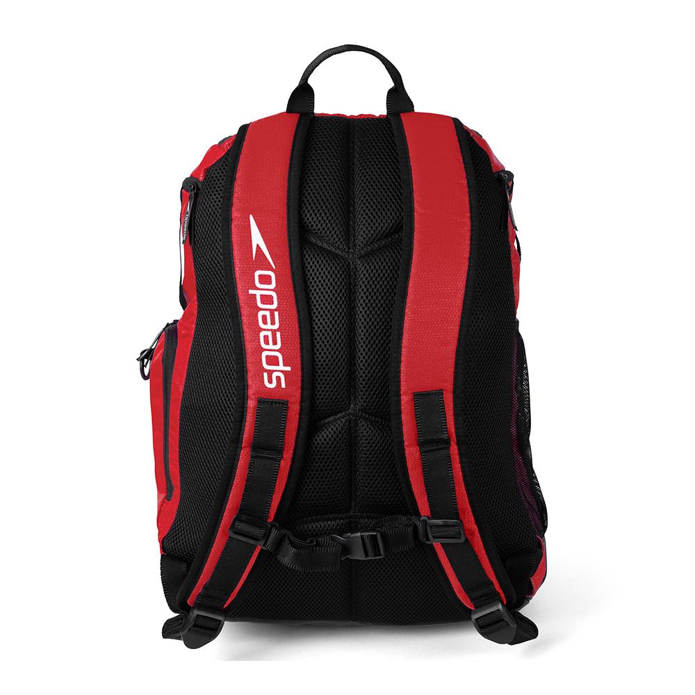 Speedo TEAMSTER 2.0 35L - Sac À dos red