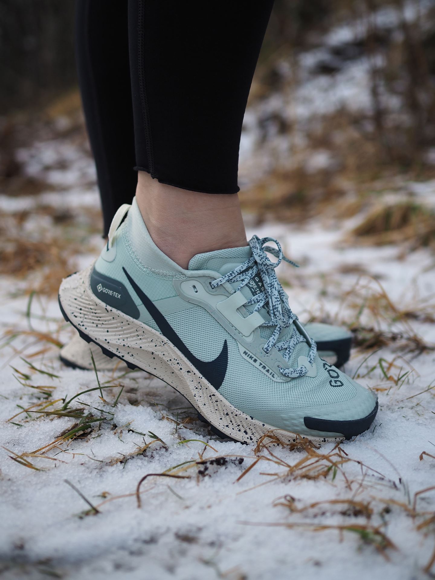 Pegasus Trail 3 GTX
