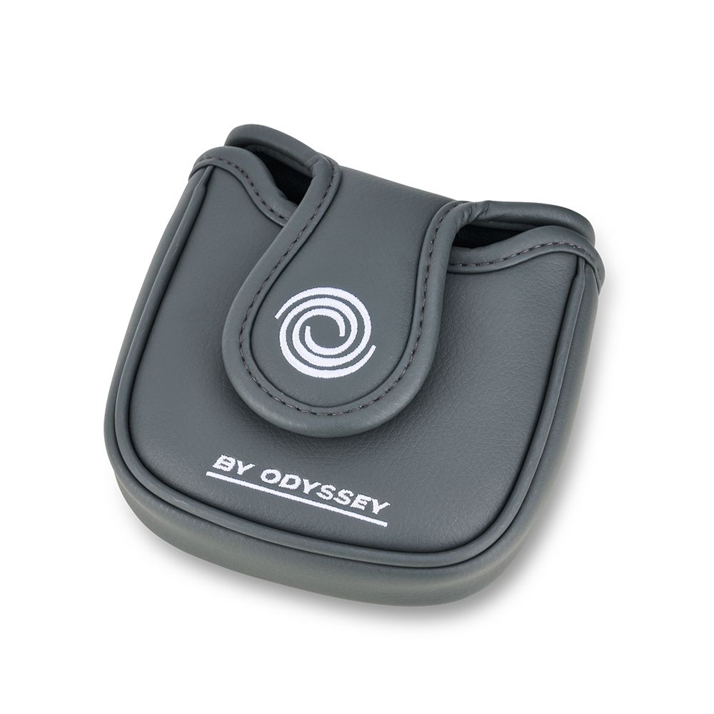 DFX Ten S Putter