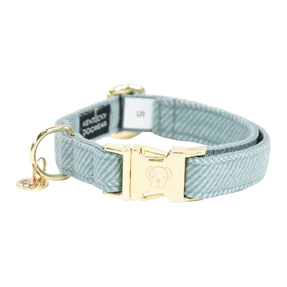 Kentucky LAINE -  Collier pour chien bleu clair