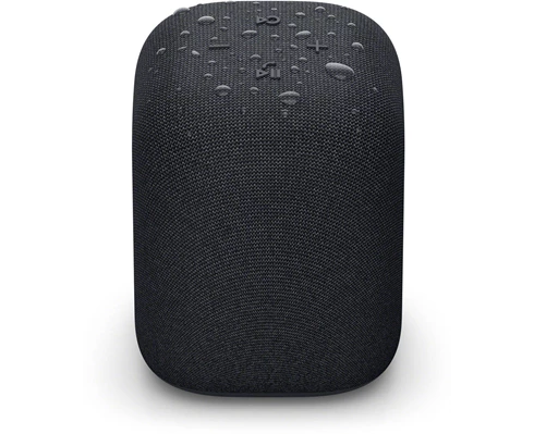 Sony Linkbuds Speaker - Black