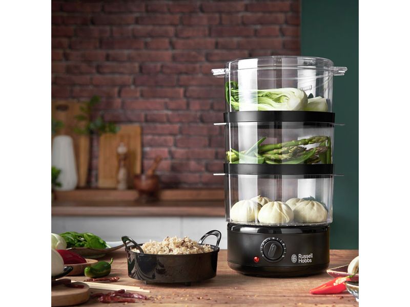 Russell Hobbs Dampfgarer Compact Elektronischer Dampfgarer