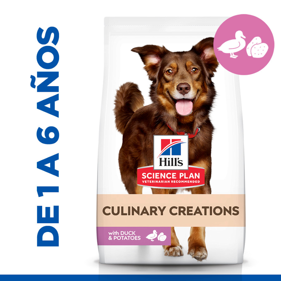 Ração Hill's Science Plan Culinary Creations sabor Pato e Batata para cães de porte médio.
