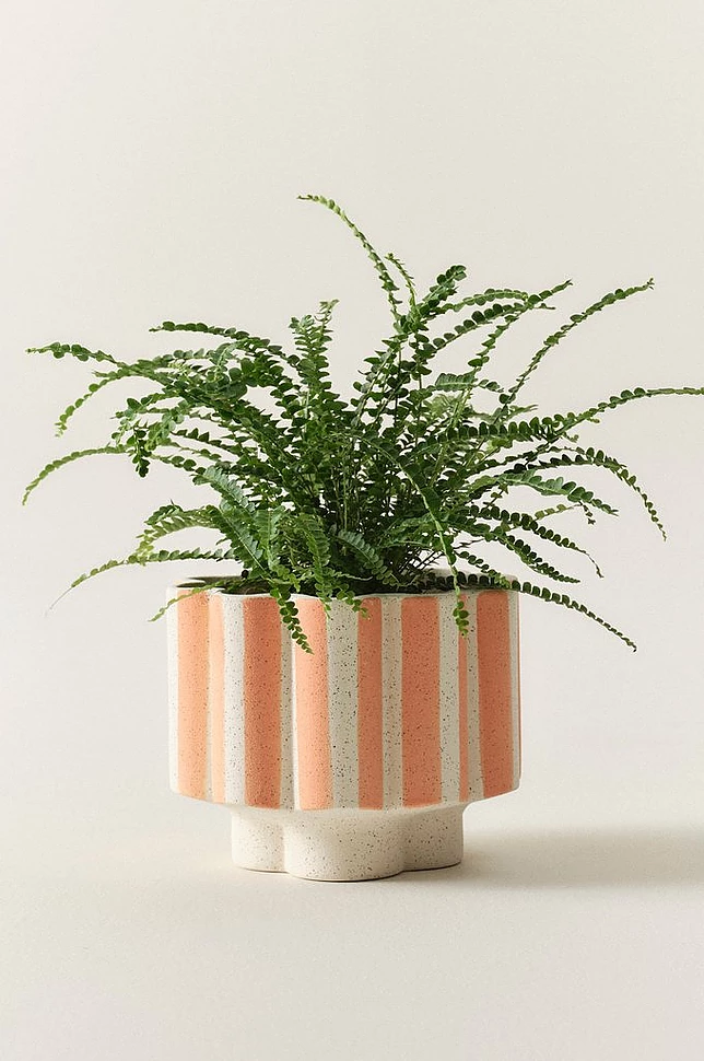 SIGFRID STRIPE potte