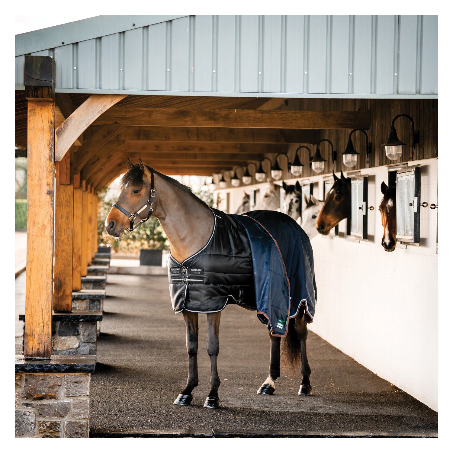 HORSEWARE Stalldecke Easy-Layer Stable 100g  - black / black&silver
