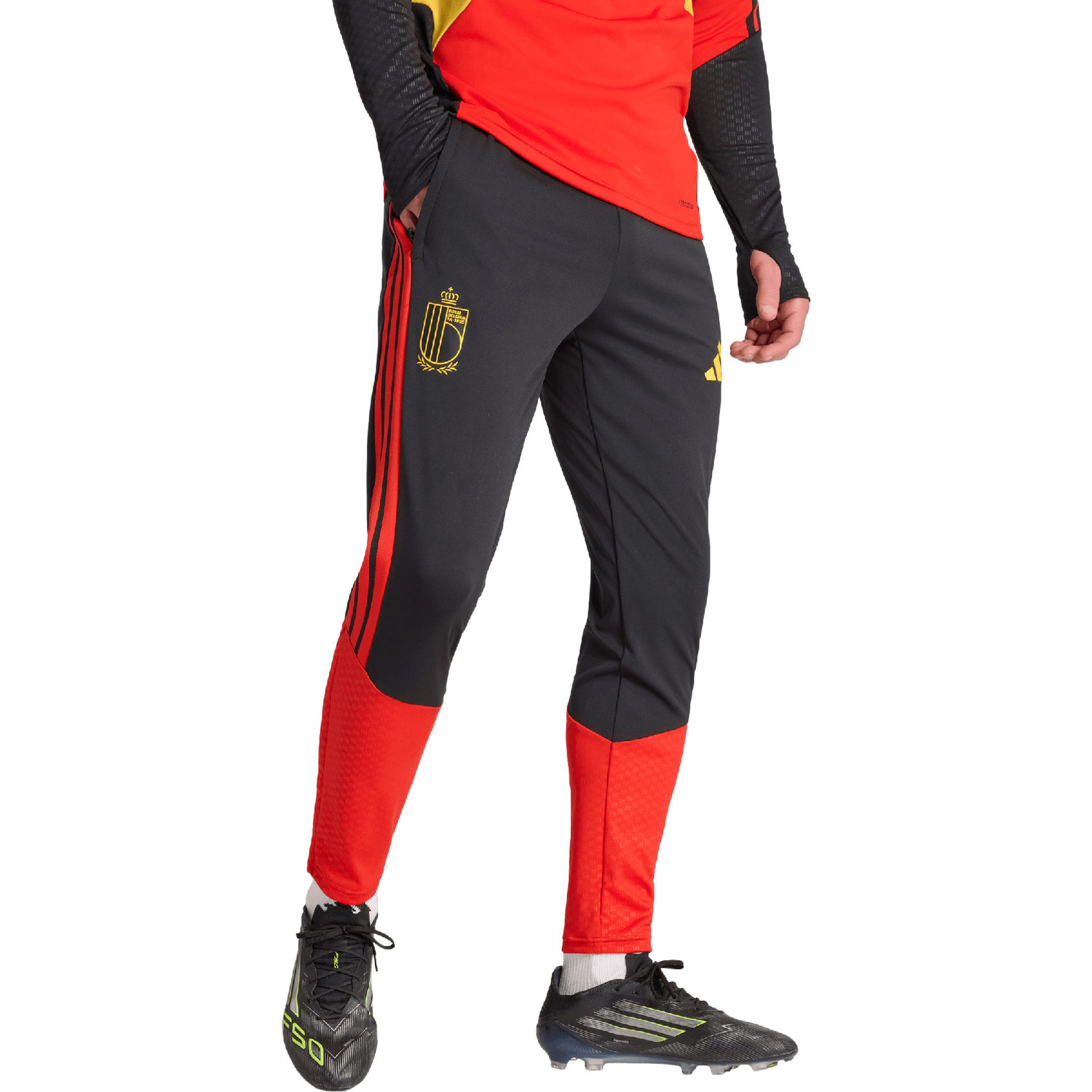 adidas België Training Pant WK 2026