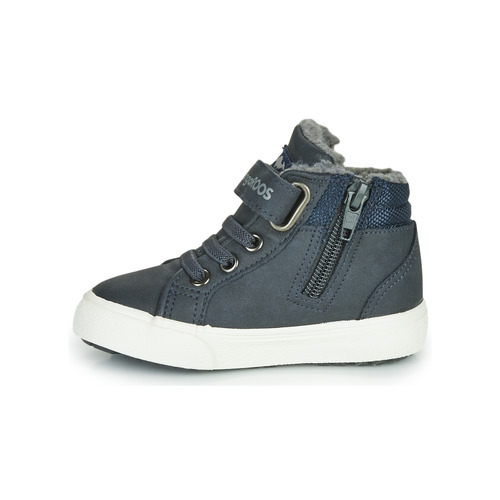 Kangaroos - KAVU I - Marine