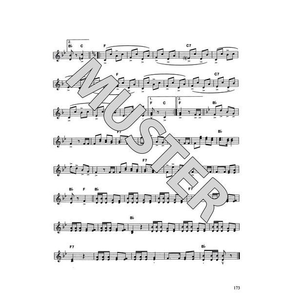 Hildner Musikverlag Der Alleinunterhalter