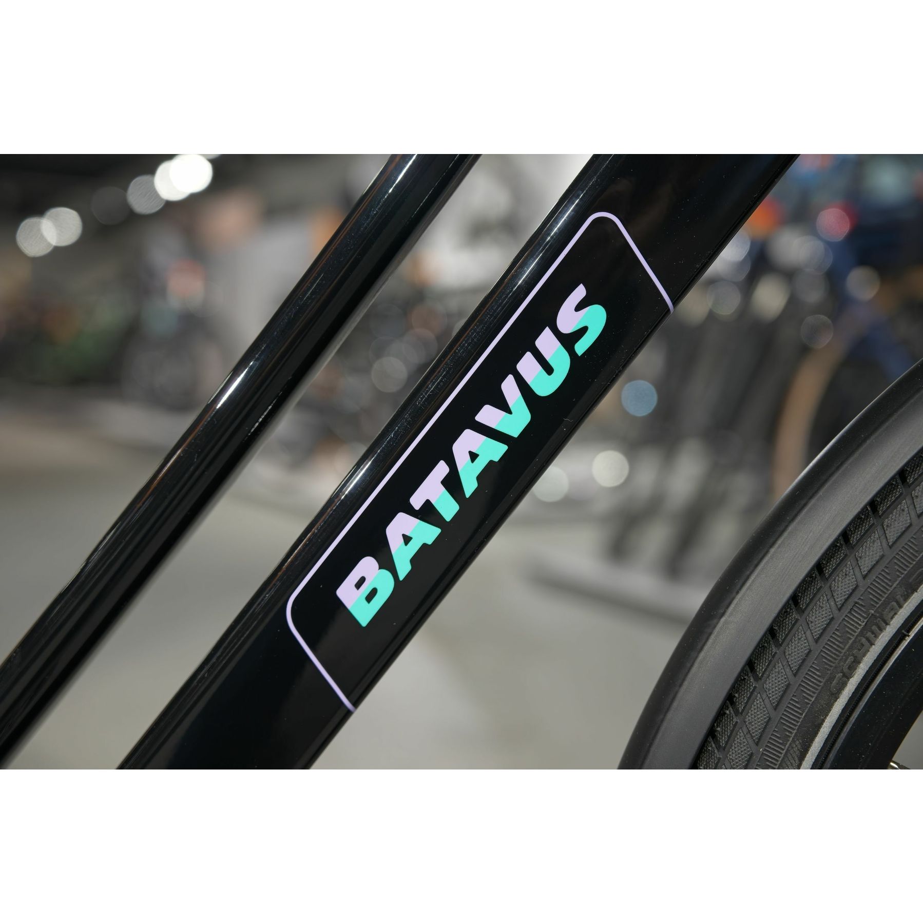 Batavus Fonk N7 2025