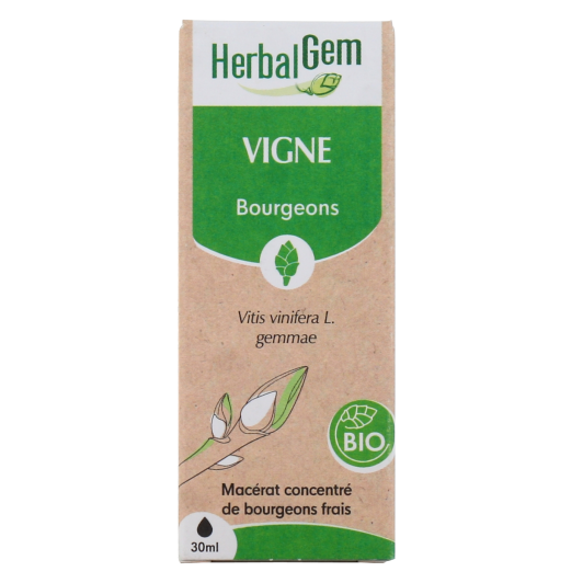Herbalgem macérat vigne bio - Gemmothérapie concentrée