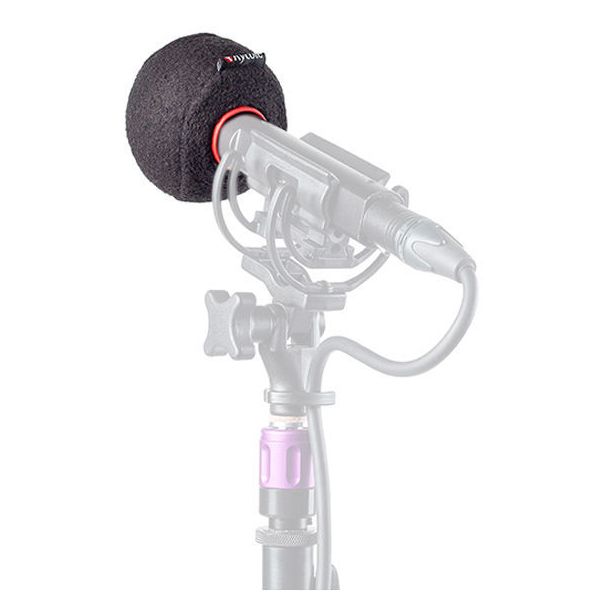 Rycote Baseball 24/25