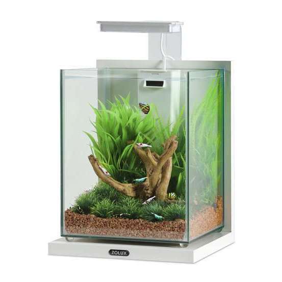 Aquarium 