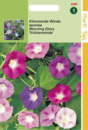 Hortitops Klimmende Winde - Bloemzaden