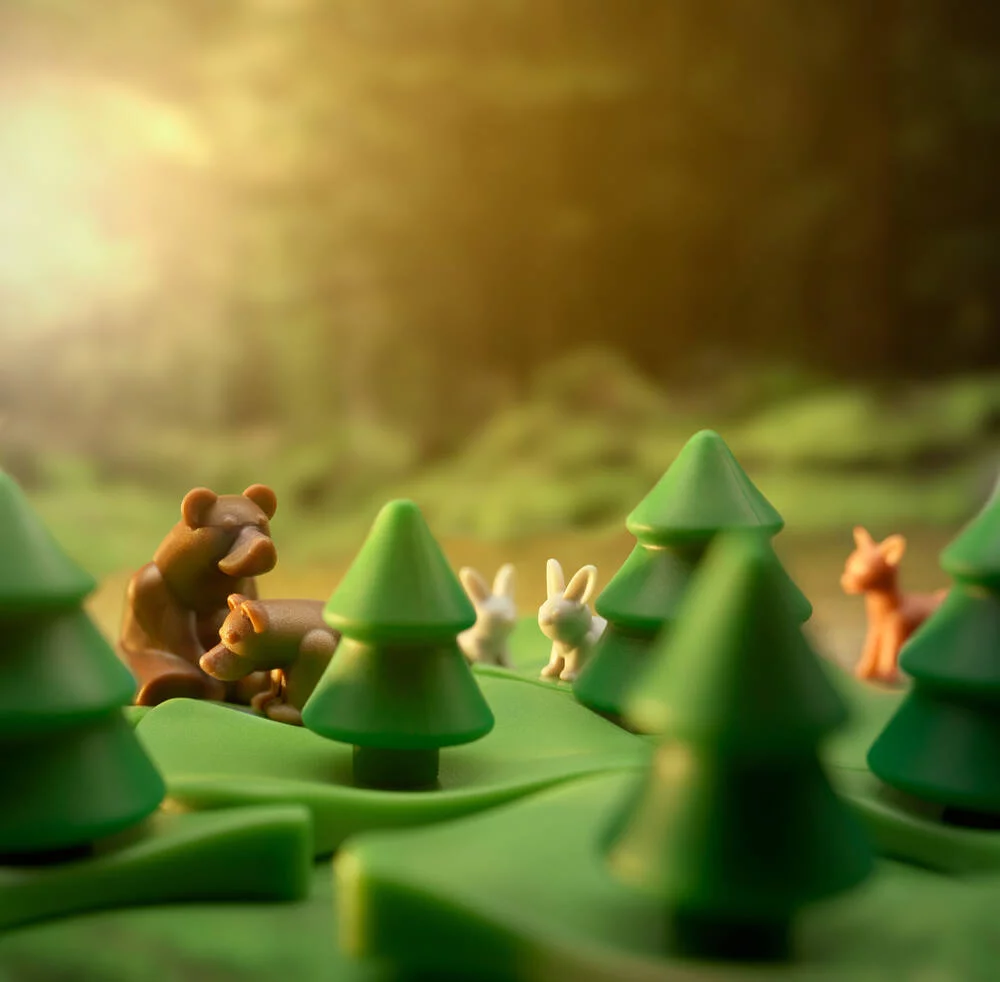 SMARTGAMES - PARC'OURS EN FORET