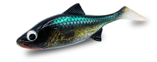 FishingGhost RoachyOne Shad 16cm (75g) (2 Pièces)