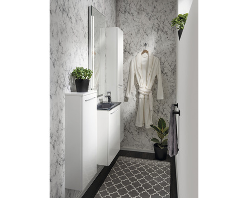 Meubel FACKELMANN Kleine Badkamercollectie BxHxD 44 x 60 cm x 24,3 cm Frontkleur wit hoogglans 86015