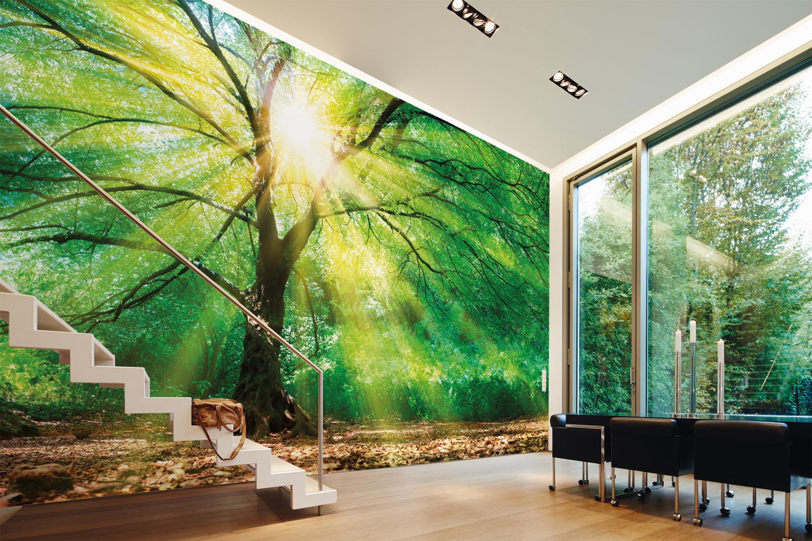 Fototapete DESIGNWALLS - grün-braun - Wald - 2,55 Meter