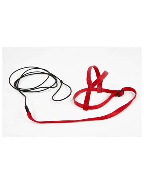 Sky Pet Products Avian Adventure Harness Rood -