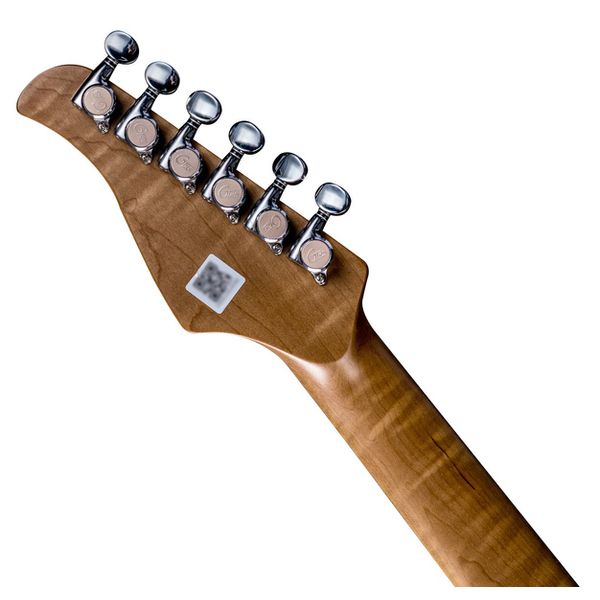 Mooer GTRS Guitar Profess. 801 DN