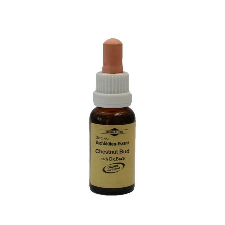 Bachblüten Murnauer Tropfen Chestnut Bud, 20 ml