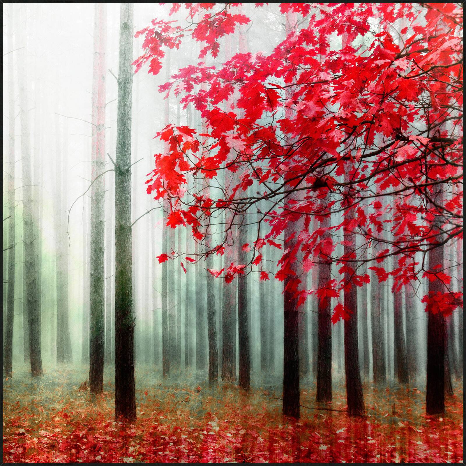 Purple Foliage by Christiane Steinicke - Open Edition.