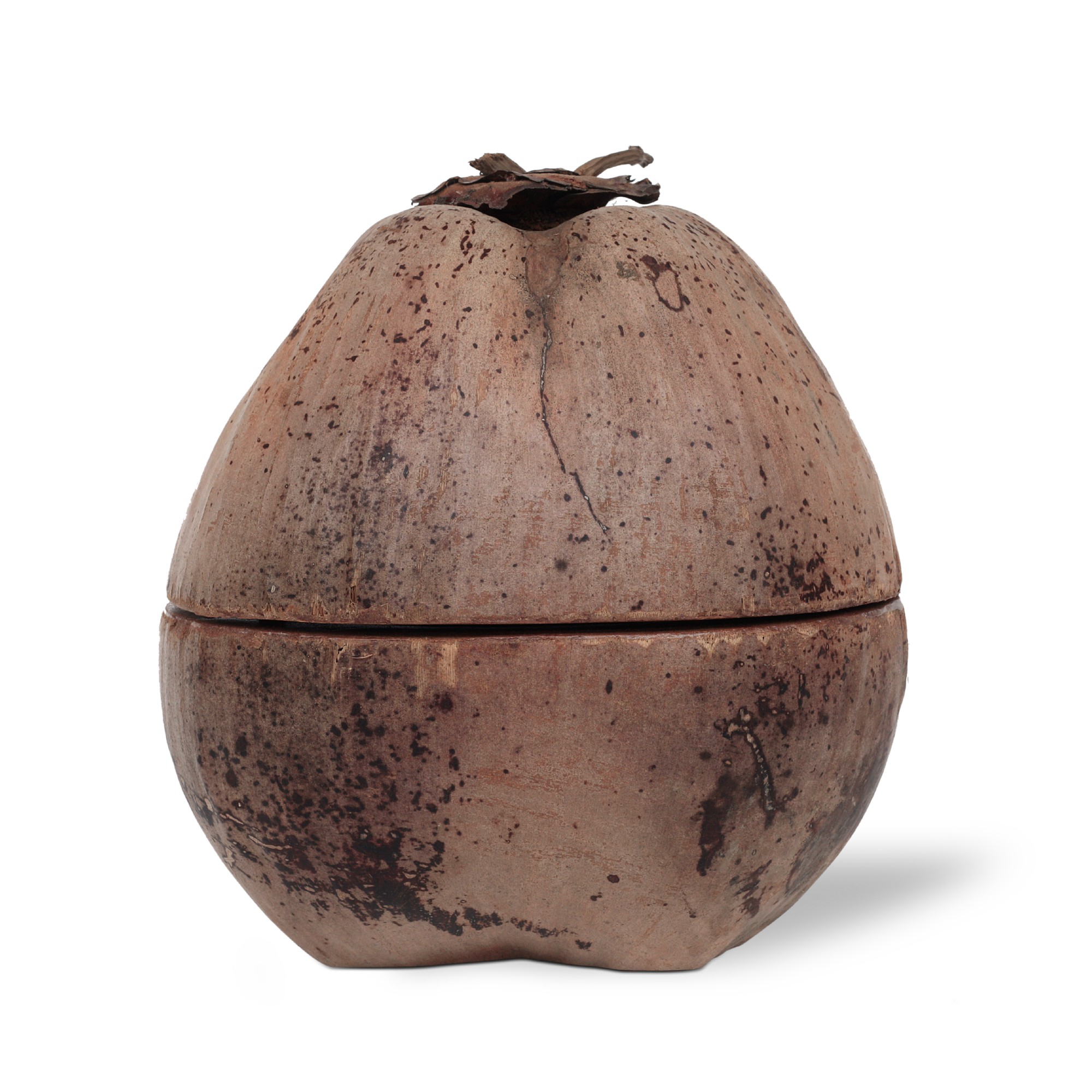 Kokosnuss-Box mit Deckel, natur, Ø 20 cm, H 25 cm von fischer's lagerhaus
