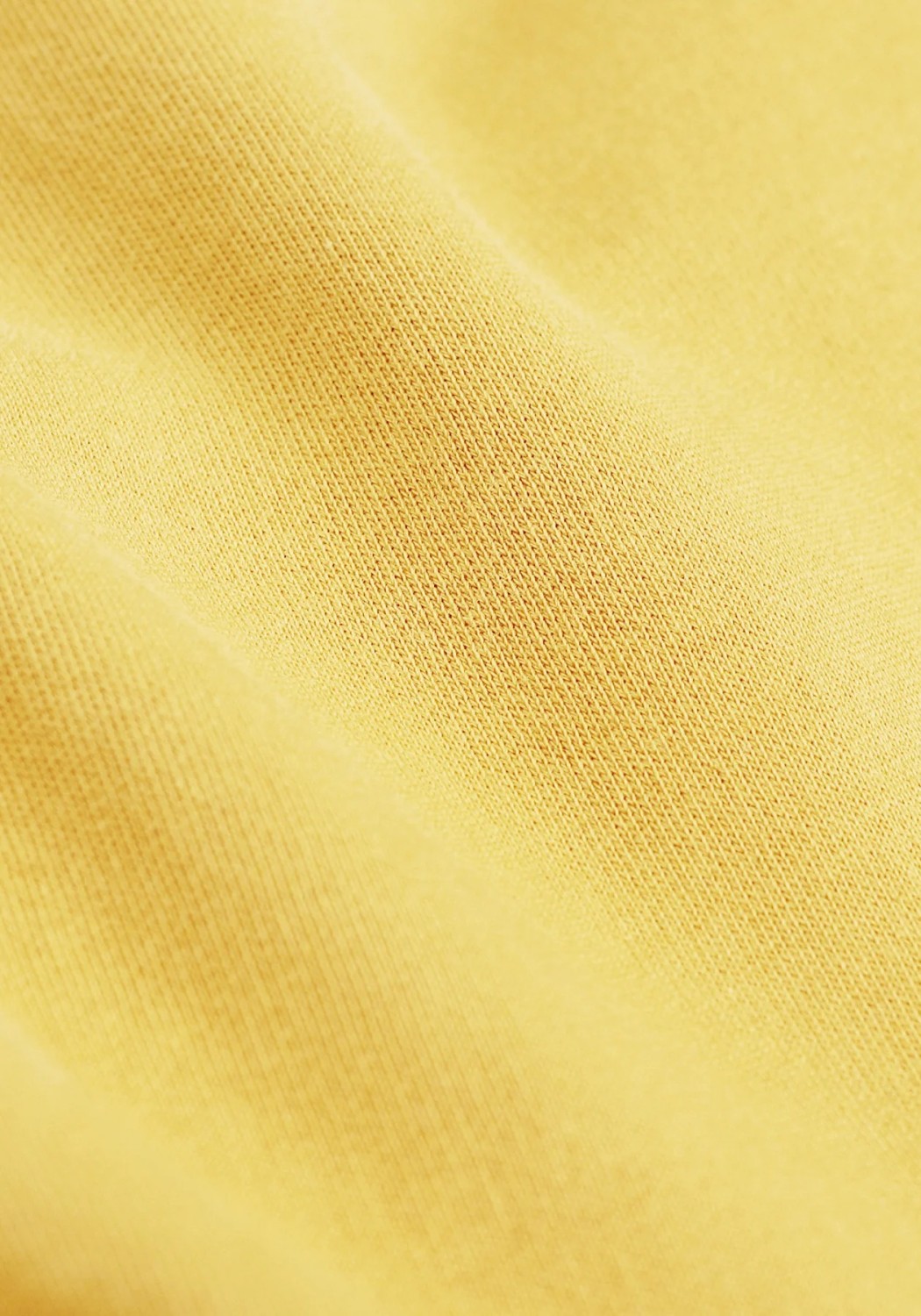 Colorful Standard Damen-T-Shirt Colorful Standard lemon yellow online kaufen