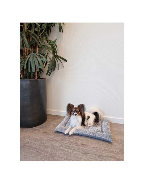 Adori Benchmat Oriana - Hondenbenchkussen - 58x41 cm Grijs