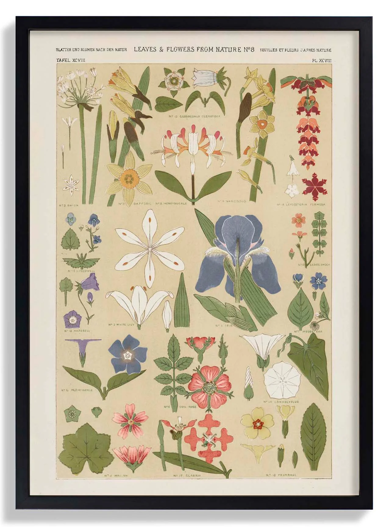 Leaves & Flowers Nr 8 von Owen Jones