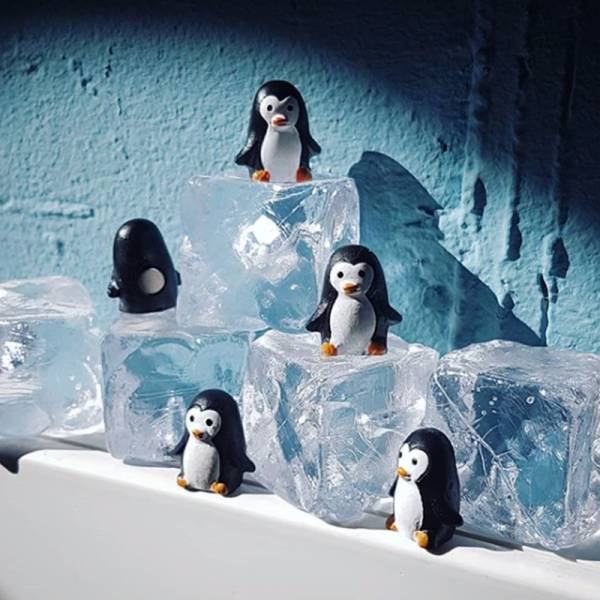(6er Set) 3D Magnet Deko Notizmagnet für Whiteboard   Kühlschrank (FA4620) - Pinguin