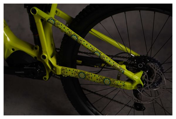 Kit de Protection Cadre Dyedbro Frame Guadalupe Noir