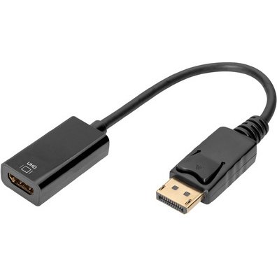 Adaptateur DisplayPort / convertisseur, 0,2 m