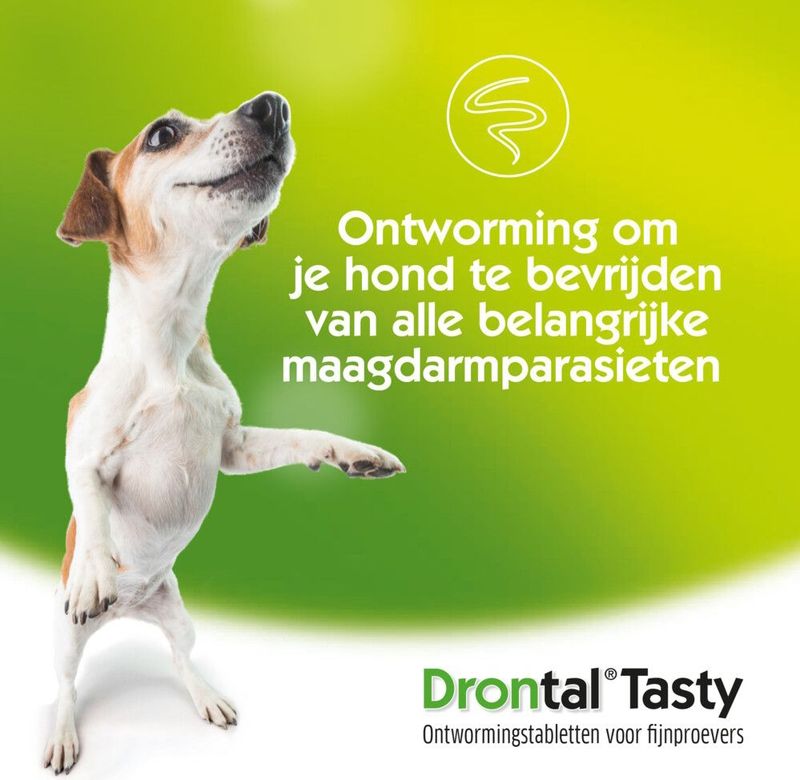 Drontal Dog Tasty Ontworming Tabletten vanaf 10kg 2 tabletten