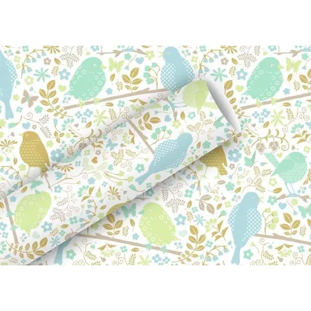 Braun & Company Geschenkpapier 2mx70cm Sweet Paradise, bleu
