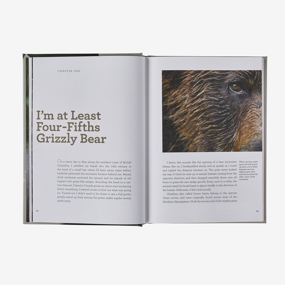 Vier Fünftel eines Grizzlybären: Eine neue Perspektive auf die Natur, die uns vielleicht alle retten könnte (von Douglas Chadwick)