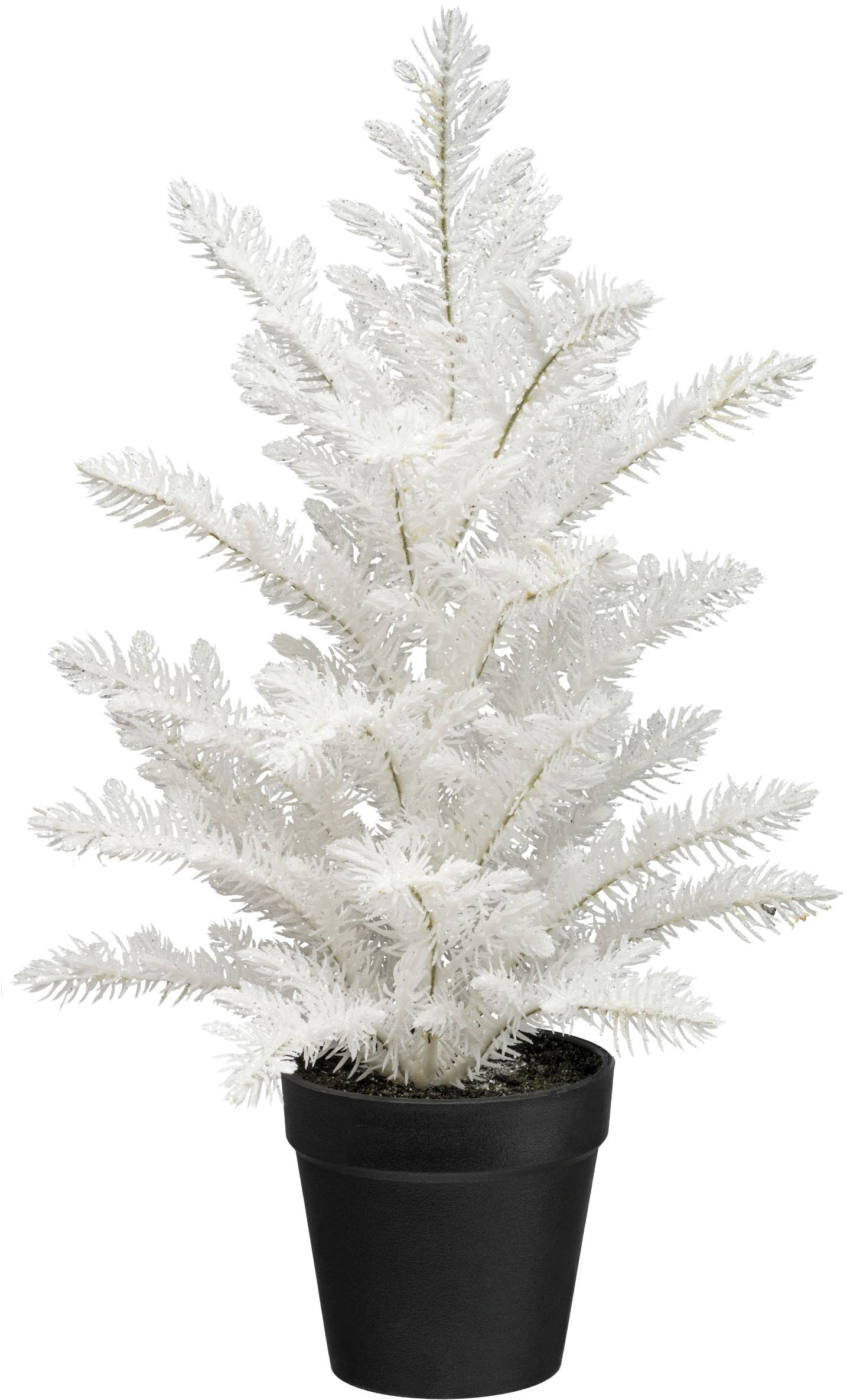 Creativ green Winterliche Kunstpflanze »Tannenbäumchen Araucaria« mit Glitzeroptik