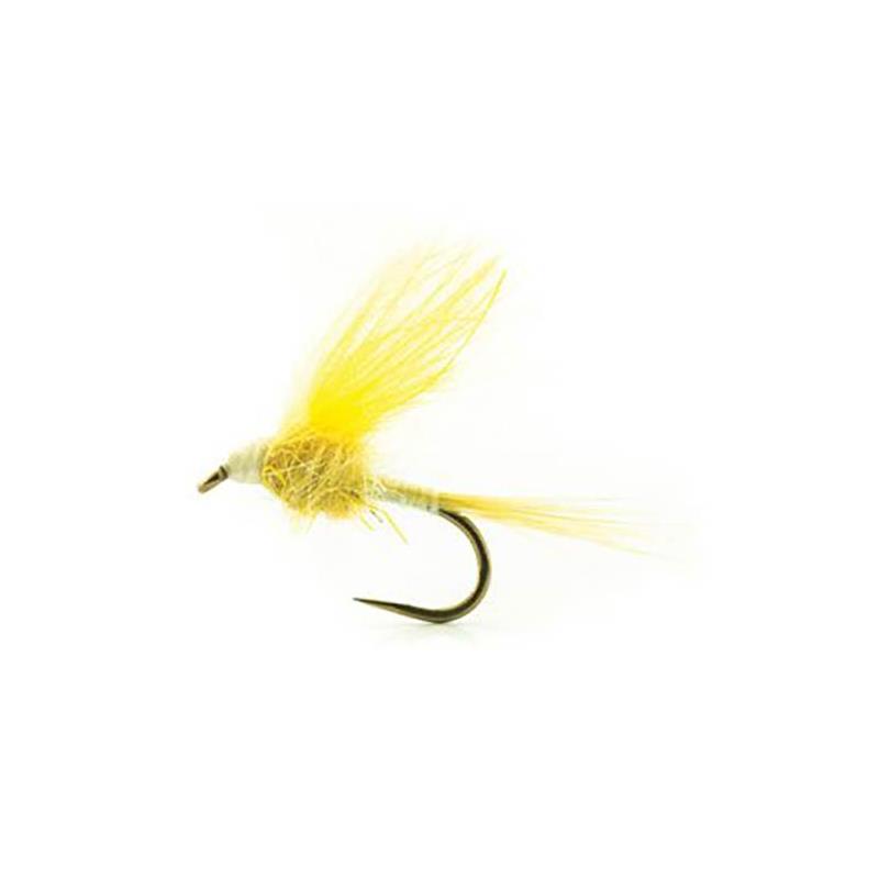 Mouche Devaux Emergente Ate04